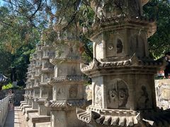 -泰山风景名胜区-普照寺