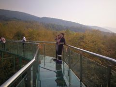 -陶祖圣境风景区