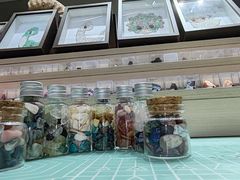 -安徽省地质博物馆