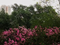 -晓港公园