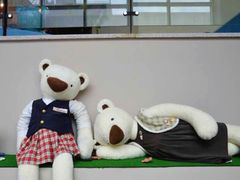 -济州岛泰迪熊博物馆