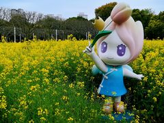-大宁公园