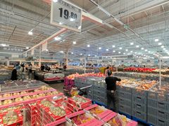 -洛阳郁金香牡丹园