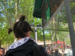 -长白岛森林公园