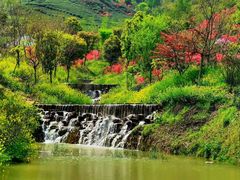 -通略驾校(新村路店)