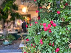 -花树下民宿(成都龙泉阳光城百工堰公园店)
