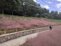 -牛岗山公园