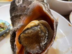 黄金螺-尚海豆捞(乐虹坊店)