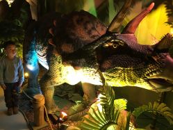 点击看大图 -恐龙探索乐园(磁器口店)