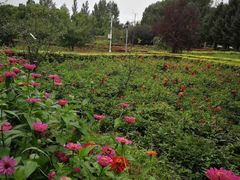 -吉林大学前卫校区南区-日新楼