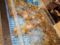 -博林天瑞喜来登酒店·西丽尚膳