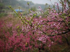 -金堂县云顶石城风景区