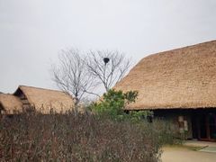 -良渚古城遗址公园