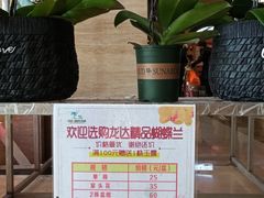 -龙达温泉生态城