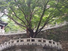 -藏山旅游风景区
