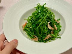 炝拌辣木苗-江南灶中餐厅(南京香格里拉店)