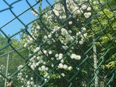 -杭州城北体育公园