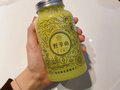 -野萃山·潮汕厚果汁(十亩地店)
