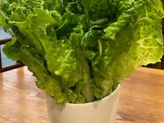 生菜-羊阿公·嘉福烤全羊龙虾馆·家常菜(广益店)