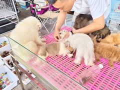 -长春农业博览园