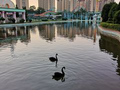 -蓬莱欧乐堡梦幻世界