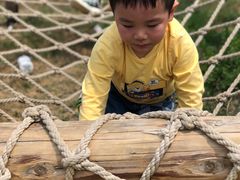 -武汉紫薇都市田园