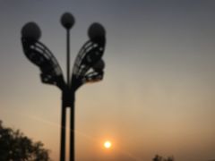 -宝安西湾红树林湿地公园