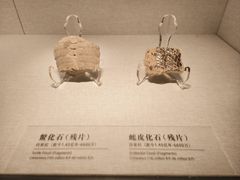 -四川宋瓷博物馆
