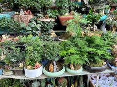 -青石桥花鸟鱼虫市场(叠翠城店)