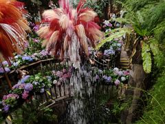 -正佳雨林生态植物园