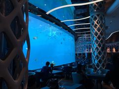-瑞德姆美人鱼海底演艺主题餐厅(亚龙湾店)