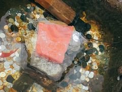 -龙华素斋(龙华路店)