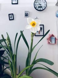 -起点潮色造型