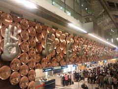 -英迪拉·甘地国际机场