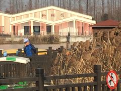 -上海长兴岛郊野公园