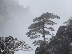 -黄山风景区