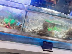 -V-ONE西雅图海鲜自助餐厅(仓山万达广场店)