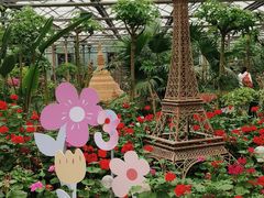 -南宫五洲植物乐园