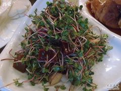 山楂糕豆苗-迎宾大酒店(东北大马路店)