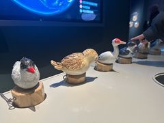 -中国湿地博物馆