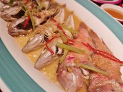 -春梅里卤鹅馆·47年老字号(中山路店)