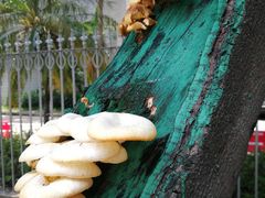 -南海迎宾馆·经典南海菜