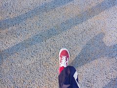 -长春公园(普阳街道)