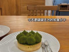 -猫里有甜
