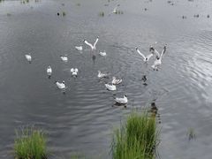 -花湖生态旅游区