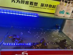 -集草轩·重庆麻辣烤鱼(西湖道店)