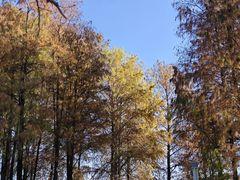 -四海公园(南山区)