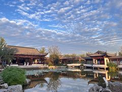 -上海滨江森林公园