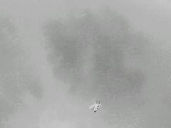 -东风公园