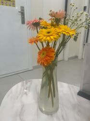 -海涛医疗美容·面部抗衰·注射美鼻